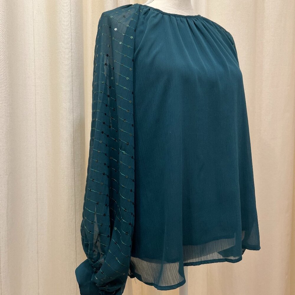 Balloon Sleeve Chiffon Blouse